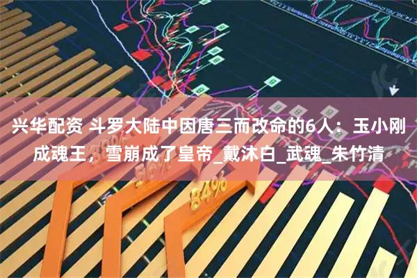 兴华配资 斗罗大陆中因唐三而改命的6人：玉小刚成魂王，雪崩成了皇帝_戴沐白_武魂_朱竹清
