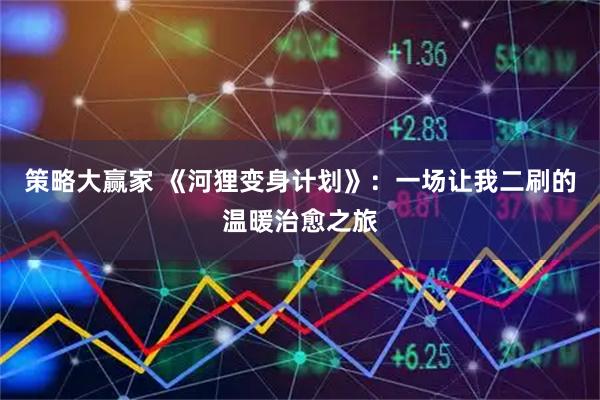 策略大赢家 《河狸变身计划》：一场让我二刷的温暖治愈之旅