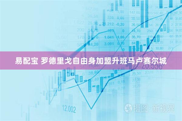 易配宝 罗德里戈自由身加盟升班马卢赛尔城